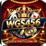 WGS456 Game